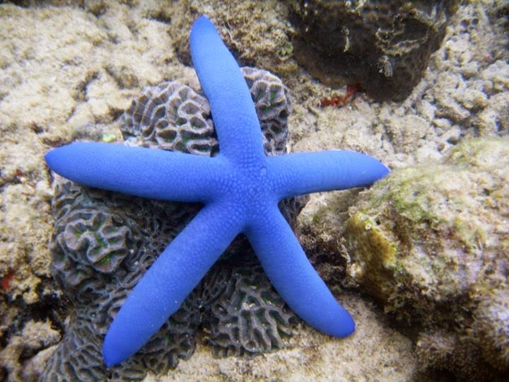 迅果首页-高效官网处理专业工具下载官网性能优化界面